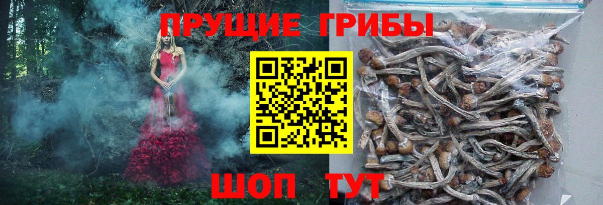 Псилоцибиновые грибы мухоморы  Вход с VPN  Киров 