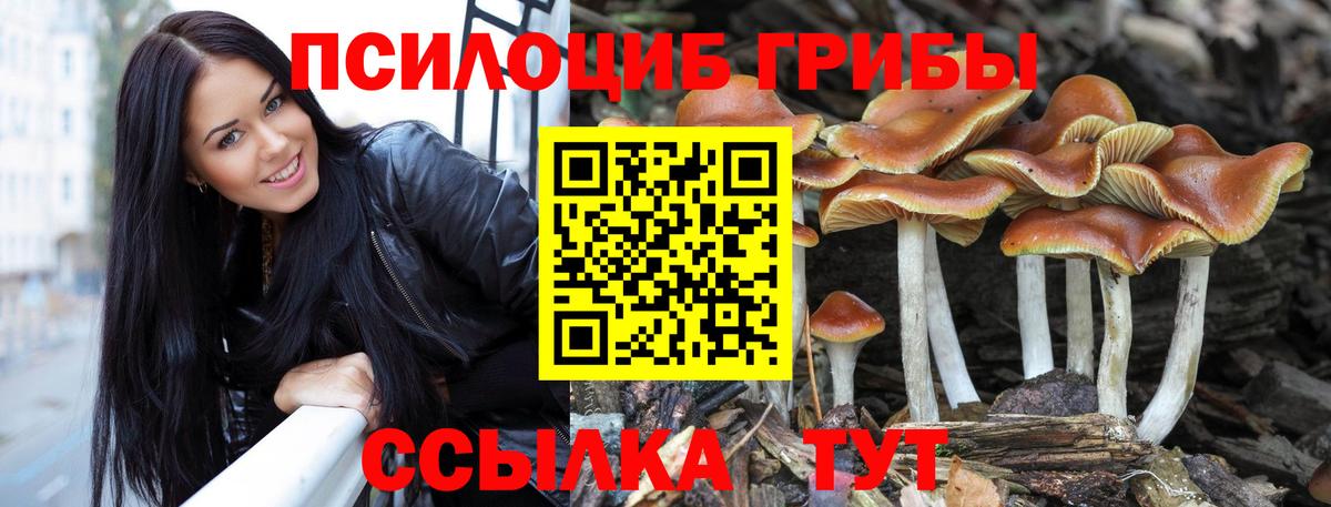 Галлюциногенные грибы MAGIC MUSHROOMS Киров